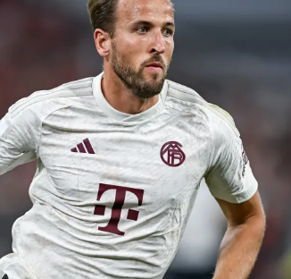 比极高的球 比极高的球